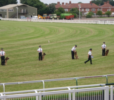 Merseyside Police Dog Display at Aintree Racecourse for the Pensioners reunion - July 2009